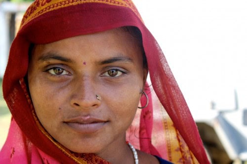 Pink Saris