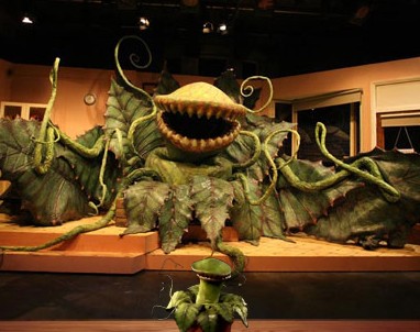 little-shop-of-horrors-feature
