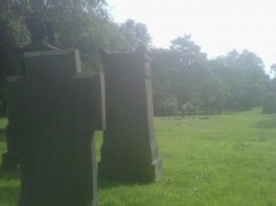 Headstones in St George's Field