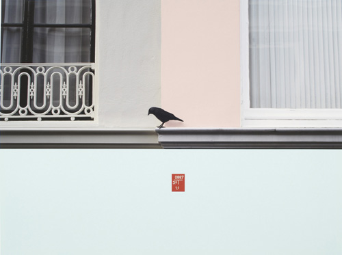 Untitled (Bird) by Cornelia Baltes