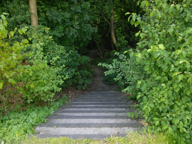 Steps to river