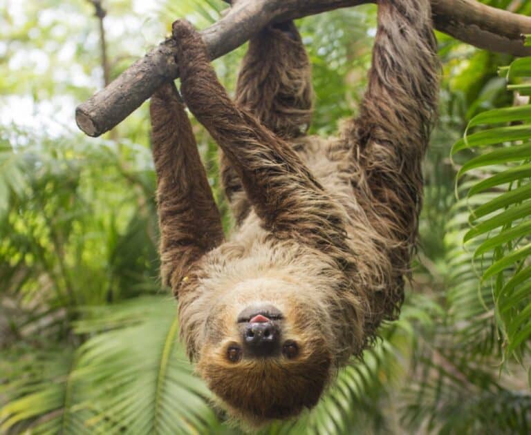 “Live the actual moment. Only this actual moment is life.” – Thích Nhất Hạnh