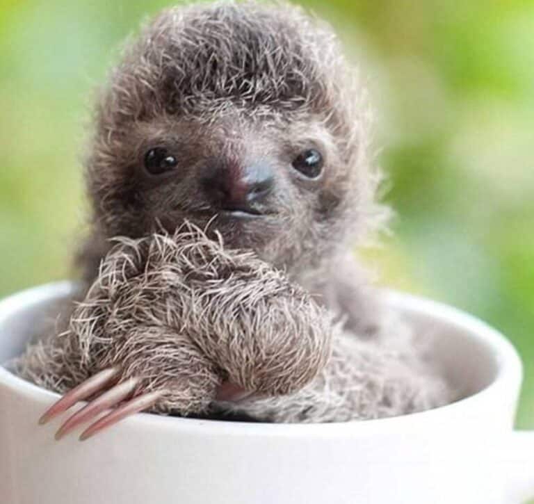 “Much of spiritual life is self-acceptance, maybe all of it.” – Jack Kornfield