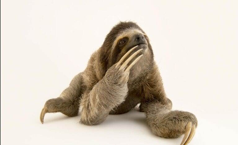 “You are the sky. Everything else is just the weather.” – Pema Chödrön