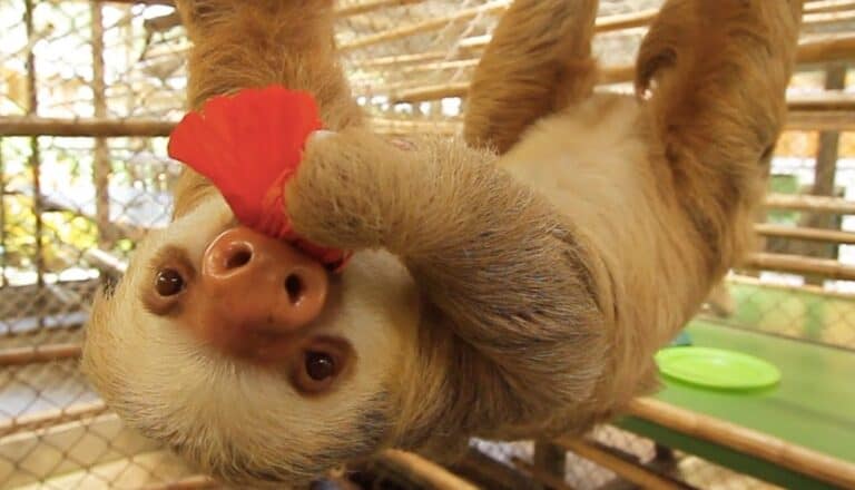 “If the problem can be solved why worry? If the problem cannot be solved worrying will do you no good.” – Buddha