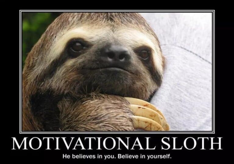 Motivational sloth