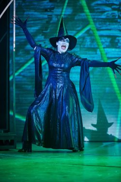 The Wicked Witch of the West in The Wizard of Oz